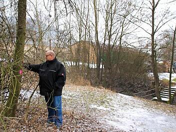 Klaus Schebler zeigt einen der Bäume auf dem Hochwasserdamm, der gefällt werden soll. Nach neusten Tendenzen können die meisten aber möglicherweise stehen bleiben.  Foto: Thomas Malz