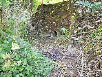 Wasser weg: Im Fornbach im Stadtgebiet Rödental fließt in einigen Abschnitten gar kein Wasser mehr. Foto: Rainer Lutz
