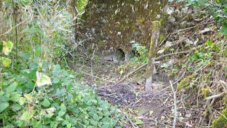 Wasser weg: Im Fornbach im Stadtgebiet Rödental fließt in einigen Abschnitten gar kein Wasser mehr. Foto: Rainer Lutz