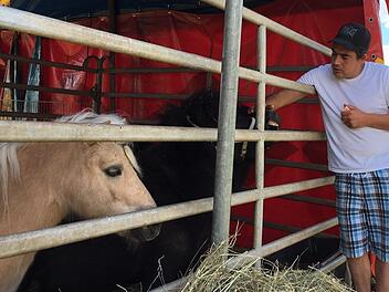 Beim Veterinäramt  sind Anzeigen gegen den Circus Corona eingegangen, der in Oberhaid  festsitzt.  Foto: Anette Schreiber