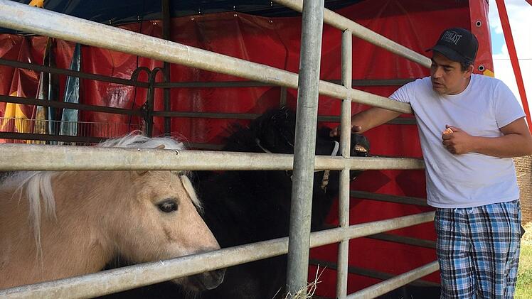 Beim Veterinäramt  sind Anzeigen gegen den Circus Corona eingegangen, der in Oberhaid  festsitzt.  Foto: Anette Schreiber