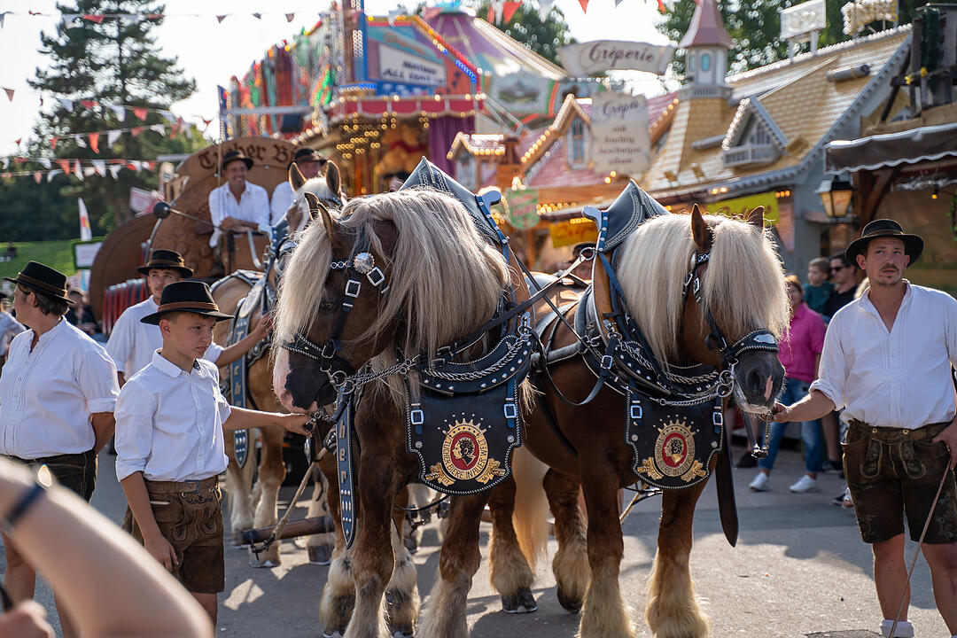 Das Nürnberger Volksfest – ein Fest für die ganze Familie!