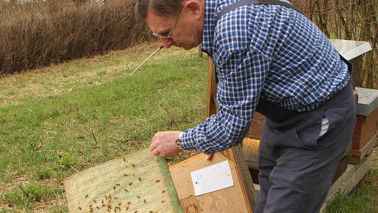 Das beginnende Frühjahr sorgt jetzt wieder für Leben in den Bienenstöcken. Foto: Günther Geiling