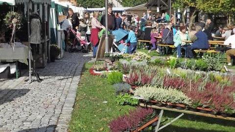 Auf dem Herbstmarkt in Oberschleichach  Foto: Sabine Weinbeer
