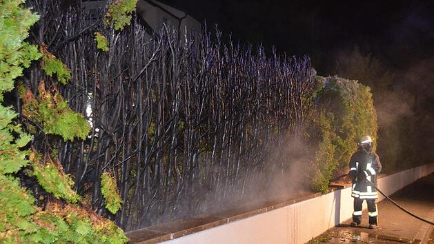 Beherztes Eingreifen der Nachbarn und  der Feuerwehr verhinderte ein Ausbreiten des Heckenbrandes. Foto: Peter Rauch