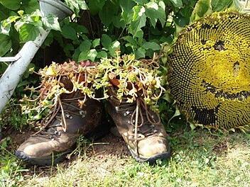 War es das schon mit dem Sommer?  Foto: bulliuli13, inFrankenPix