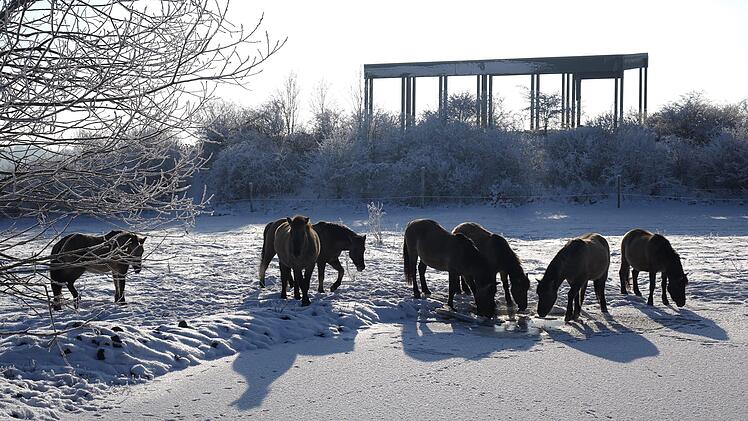 Eine Winteridylle gibt es an der Feldherrenhalle, die den Besuchern Fernblicke bietet. Fotos: Gerd Landgraf