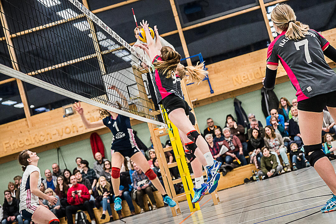 N.H. Young Volleys - TV Erlangen (3:2)