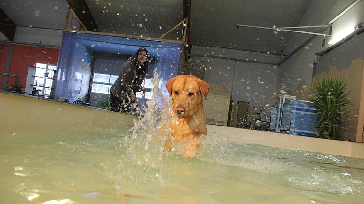 Sam hat sichtlich Spaß im Wasser.  Foto: Diana Fuchs