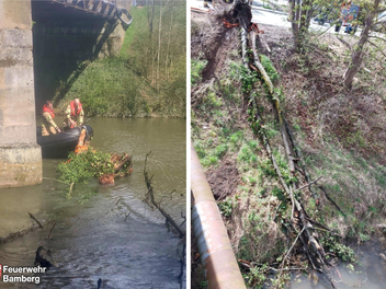 Bamberg: Feuerwehr zieht 12 Meter hohen Baum aus Regnitz - "Gefahr für die Binnenschiffahrt"