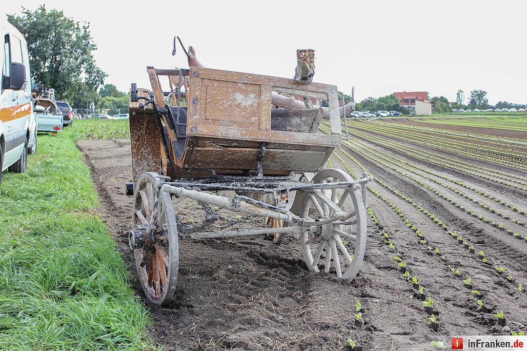 Pferdegespann in Nürnberg geht durch – Vier Verletzte
