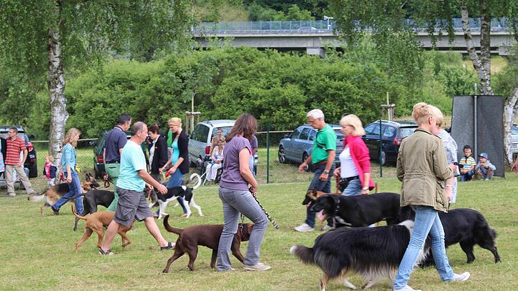 Nur nicht ablenken lassen: Die Hunde des Polizeisportvereins waren voll konzentriert.