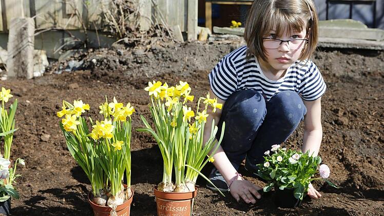 Blumen pflanzen mit den Garten- und Blumenfreunden Katschenreuth-Frankenberg Foto: Matthias Hoch