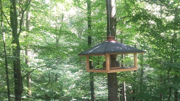 Riesen-Vogelhaus Foto: Anette Schreiber
