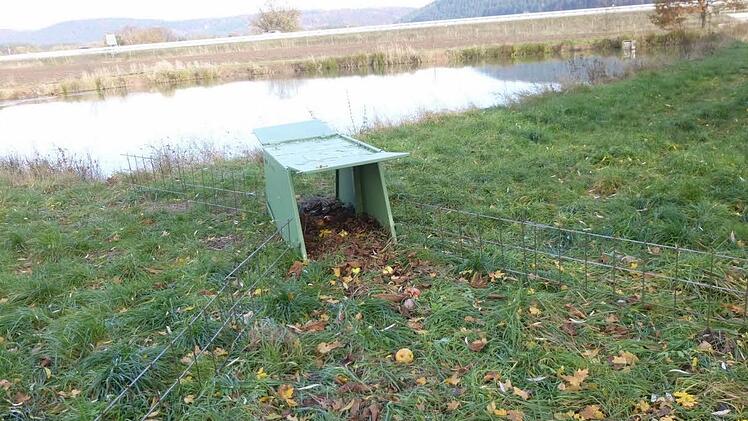 Seit einigen Wochen steht eine Biber-Falle am Teich in Waldau.