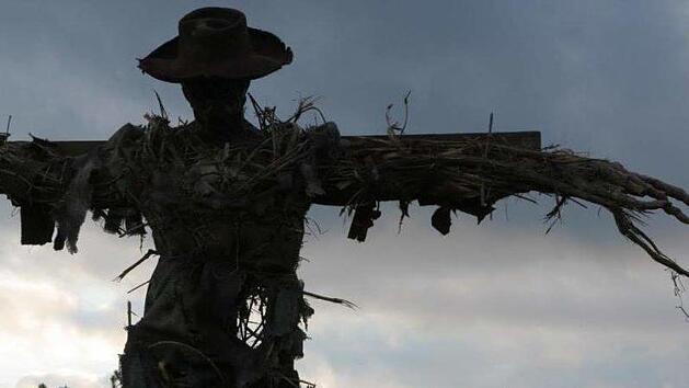 Zerzaust von Wind und Wetter ist dieser "Krautsbüebl" an der Fränkischen Linie, dem südwestlichen Tor zum Frankenwald. Allem Anschein nach ist er ein Ururenkel vom fiesen "Bilmitznschneide". Alexander Grahl