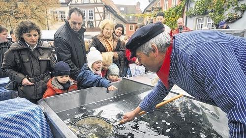 Fischmarkt lockte wieder hunderte von Gästen an
