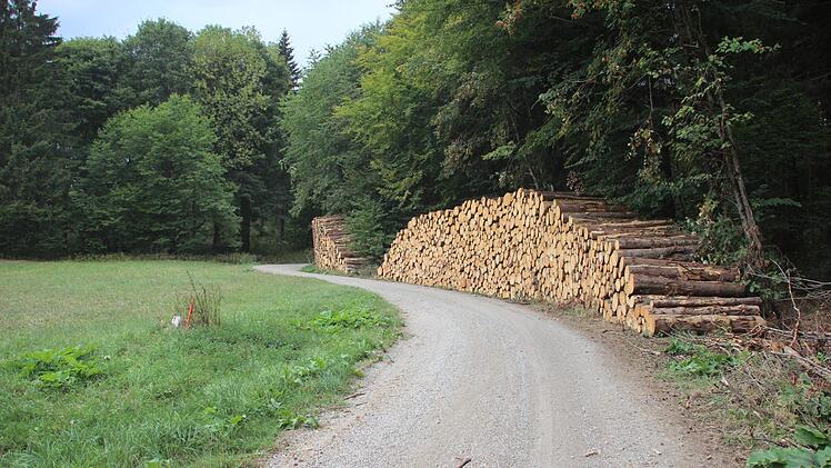 Holz vor der H&uuml;tte: Langfristig soll der Fichtenbestand am Totnansberg minimiert werden. Foto: Johannes Schlereth
