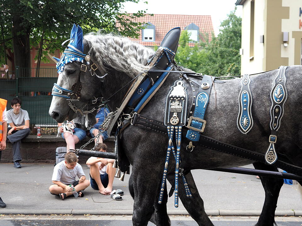 Der sonnt&auml;gliche H&ouml;hepunkt des Rakoczy-Fest.