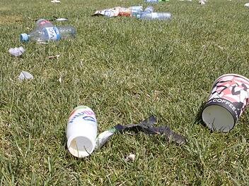 Unsere Umwelt vermüllt immer mehr. Vor allem an Straßenrändern sieht es oft erschreckend aus. Foto: dpa