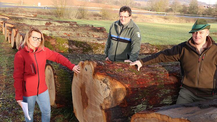 Die Hände auf die "Braut" gelegt haben am Holzlagerplatz im Frauengrund bei Ebern (von links) Birgitt Ulrich und die Förster Jürgen Schafhauser und Patrick Valtenmeier. Der Eichenstamm hat 2,38 Festmeter und erzielte einen Erlös von 3996 Euro. Helmut Will