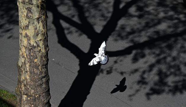 Wetter in Nordrhein-Westfalen