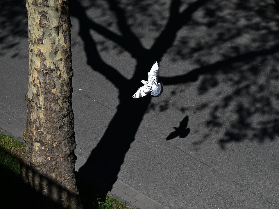 Wetter in Nordrhein-Westfalen