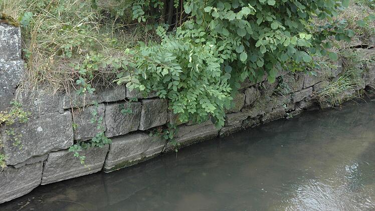 Über das Wasserentwicklungskonzept des Landkreises kann die Marktgemeinde Burgpreppach günstig diese Mauer am Hainbach in der Wassergasse sanieren lassen. Foto: Schmidt