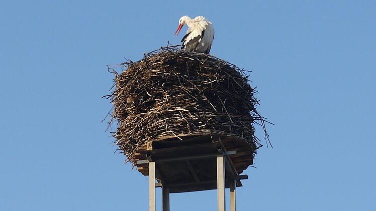 Der Horst auf dem Schlot der Brauerei Schleicher in Kaltenbrunn im Itzgrund hat am Montag  zum ersten Mal in diesem Jahr Besuch von einem Storch bekommen. - Foto: Berthold Köhler