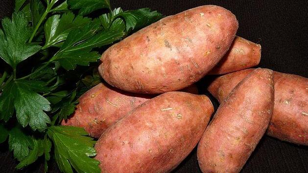 Wie gesund sind S&uuml;&szlig;kartoffeln? Und was ist dran an der Behauptung, dass die r&ouml;tlichen Erd&auml;pfel ges&uuml;nder seien, als "normale" Kartoffeln? Symbolfoto: pixabay.com/Buntysmum