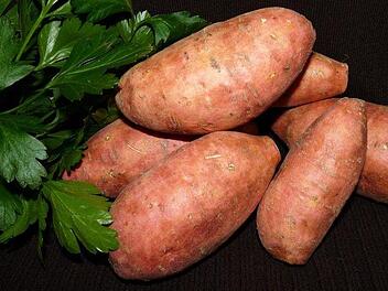 Wie gesund sind Süßkartoffeln? Und was ist dran an der Behauptung, dass die rötlichen Erdäpfel gesünder seien, als "normale" Kartoffeln? Symbolfoto: pixabay.com/Buntysmum