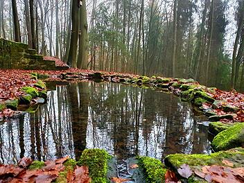 Am Kulmbacher Rehberg muss es nicht unbedingt nur nach Wald riechen. Foto: Christine Fischer