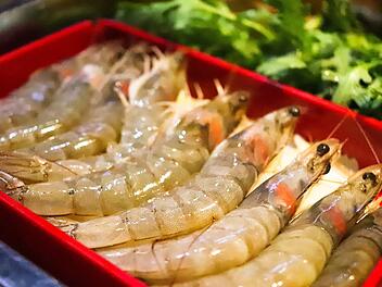 Garnelen-Rückruf Garnelen-Rückruf