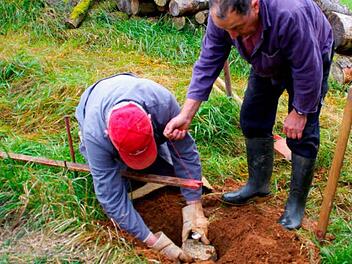 Fritz Kraus (l.) und Konrad Dörfler setzen ein Granitgrenzstein Foto: privat