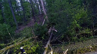 Zahlreiche Einsätze durch Unwetter in Franken: Umgestürzte Bäume fordern Feuerwehr