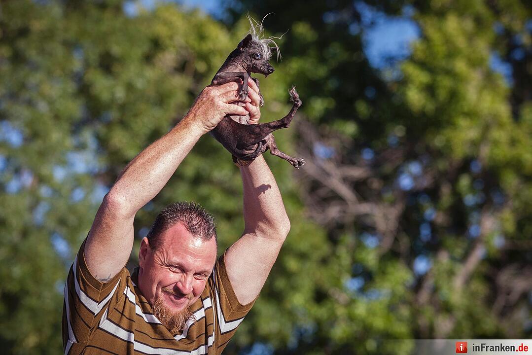 2016 World's Ugliest Dog Contest in California