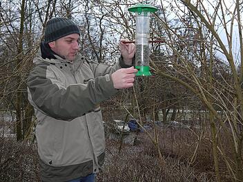 Eine Futtersäule, wie sie hier Alexander Ulmer vor dem Coburger Naturkundemuseum aufhängt, ist besser als ein herkömmliches Vogelhaus. Foto: Berthold Köhler