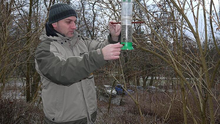 Eine Futtersäule, wie sie hier Alexander Ulmer vor dem Coburger Naturkundemuseum aufhängt, ist besser als ein herkömmliches Vogelhaus. Foto: Berthold Köhler