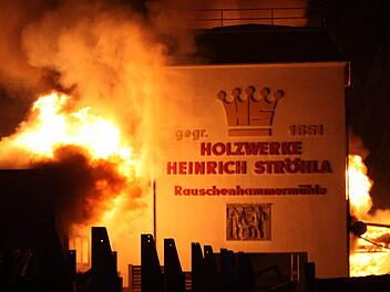 Im August wird das Sägewerk in Rauschenhammermühle ein Opfer der Flammen. Foto: NEWS5/Fricke
