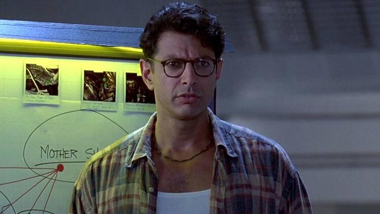 Dank seiner Warnung schafft es der US-Präsident gerade noch, das Weiße Haus zu verlassen: Der Techniker David Levinson wird von Jeff Goldblum gespielt.