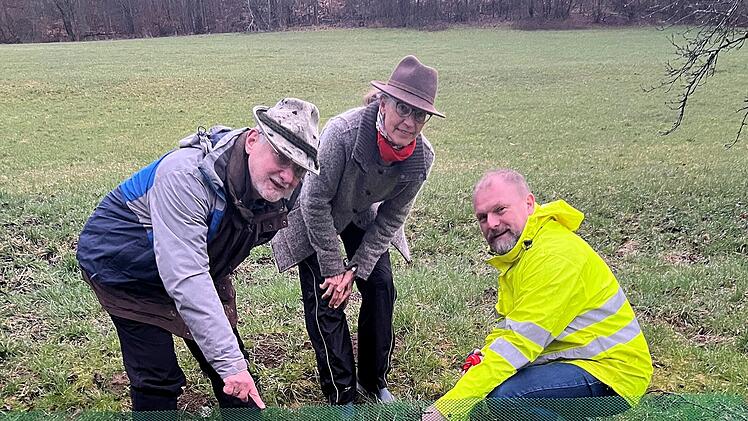 Landkreis Würzburg: Amphibien bei Frühjahrswanderung helfen - Ehrenamtliche gesucht