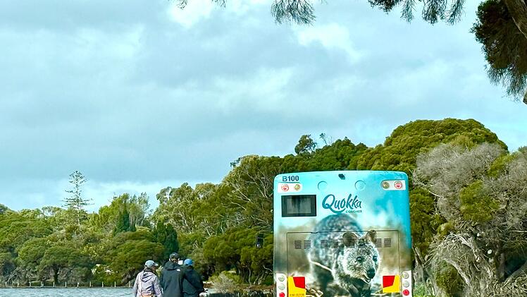 Quokkas auf Rottnest Island