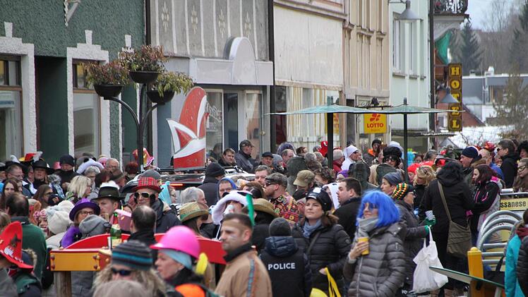 Faschingszug Bad Brückenau 2018 Foto: Ulrike Müller