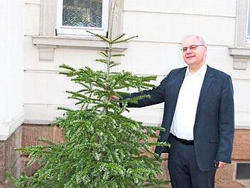 Stadtpfarrer Kilian Kemmer hat seinen privaten Baum am Montagabend abgeschmückt.  Foto: K. Brock