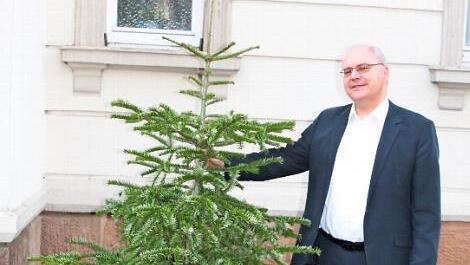 Stadtpfarrer Kilian Kemmer hat seinen privaten Baum am Montagabend abgeschmückt.  Foto: K. Brock