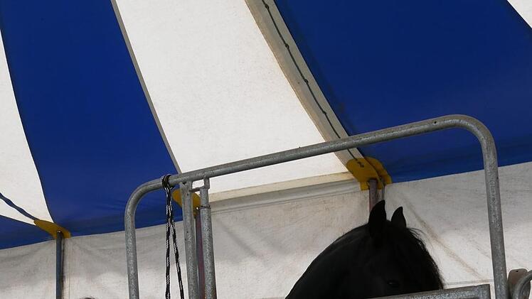 Impressionen rund um die Premiere des "Circus Henry" in Dörfles-Esbach (Landkreis Coburg). Dort gastiert der Zirkus noch bis Anfang Oktober - mit Vorstellungen jeden Samstag und Sonntag. - Foto: Manja von Nida