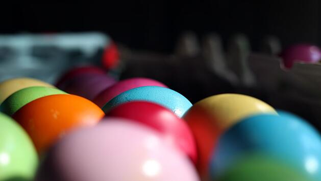 Bad Kissingen: Osterhase versteckt Eier im Wild-Park - Team mit Bitte an Kinder