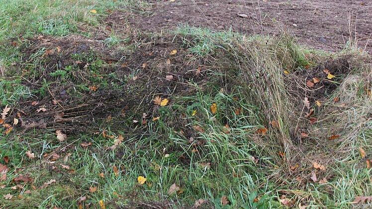 An dieser Stelle, unweit des östlichen Parkplatz an der B 279, zweigte die Autofahrerin aus unerfindlichen Gründen in Richtung Botanik im Baunachgrund ab.