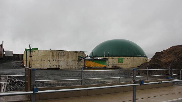 Zu Gast im neuen Stall in Effelter. Foto: Marco Meißner