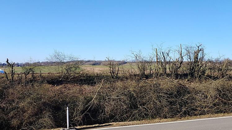 Diese Hecke zwischen Forstlahm und Donnersreuth wurde so stark zurückgeschnitten, dass Vögel hier wohl keinen Unterschlupf mehr finden.